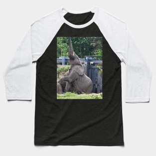 African Elephant Baseball T-Shirt